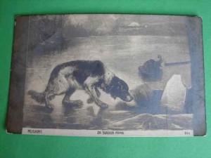 ZA ŚLADEM PANA. ok. 1900.