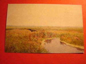 ZIOMEK T.: Po deszczu.