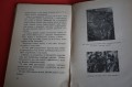 DUNAJEC 003.JPG
