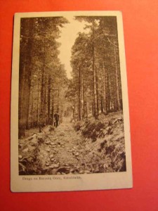 DROGA NA BARANIĄ GÓRĘ. Karolówka. 1927.