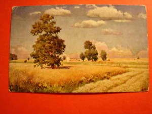 WRZESZCZ E.: Gdy chylą się kłosy.