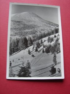 CZARNOHORA. Widok na Homuł z Mariszewskiej. 1938.