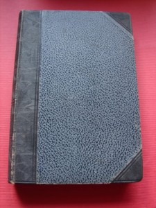 ŻEROMSKI S.: Nawracanie Judasza. Powieść. 1925.