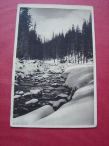 CZARNOHORA. Dolina Prutu. ok. 1930.
